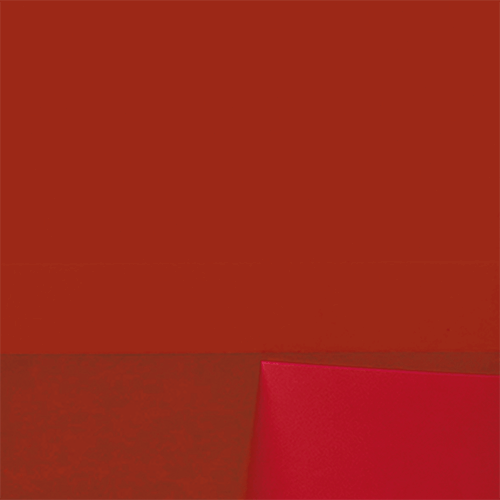 Rot