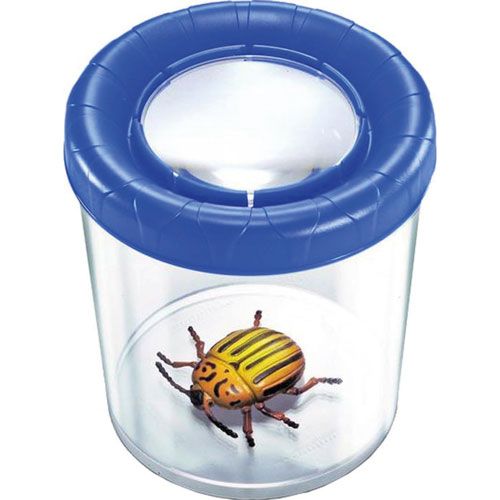 Insektenbecher groß sortiert-image