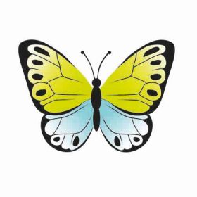 Betty Fly-image